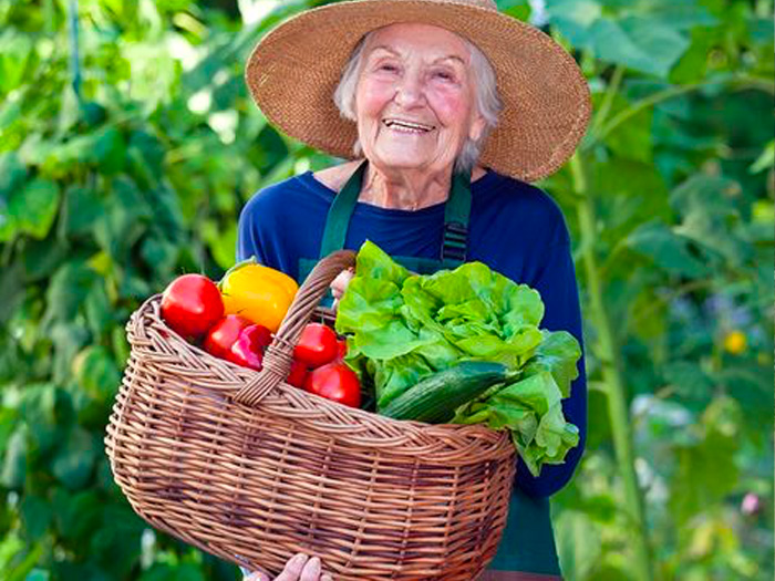 How can I get groceries delivered